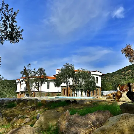 Merada Termal & Hotel 5*