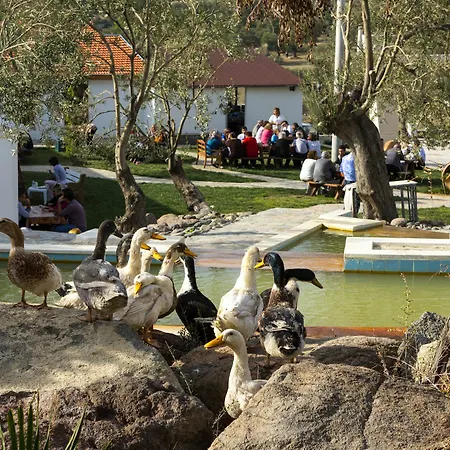 Merada Termal & Hotel Kalem Adasi